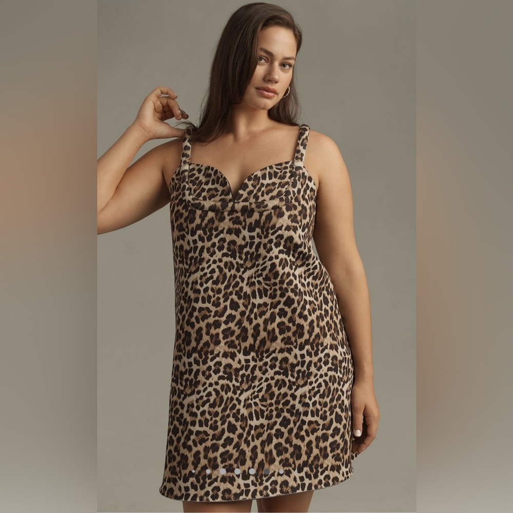 NWT Dhruv Kapoor Leopard Mini Dress (Anthropologie)